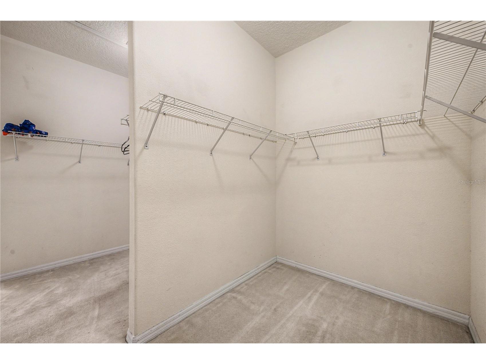 18615 Chemille Drive Lutz FL 33558 TB8519169 image17