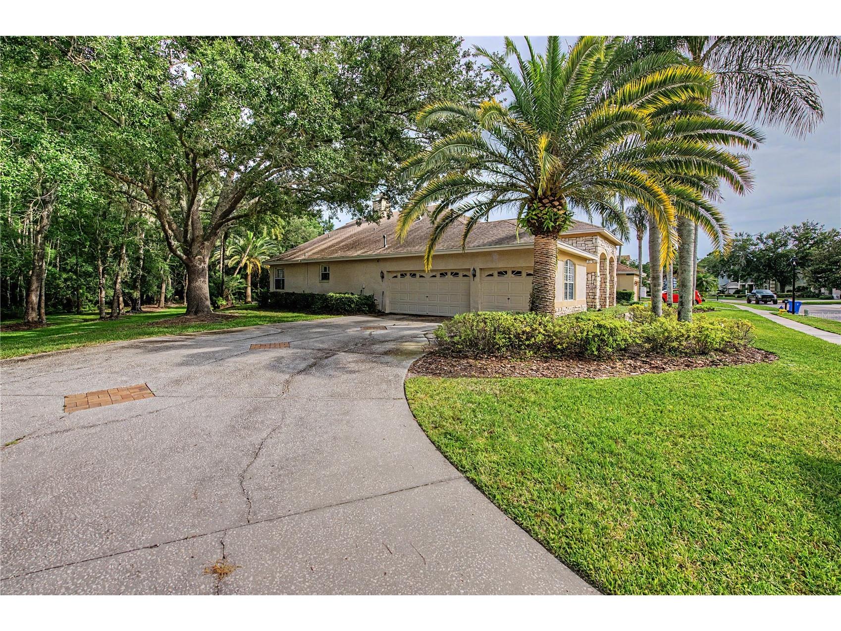 18615 Chemille Drive Lutz FL 33558 TB8519169 image2