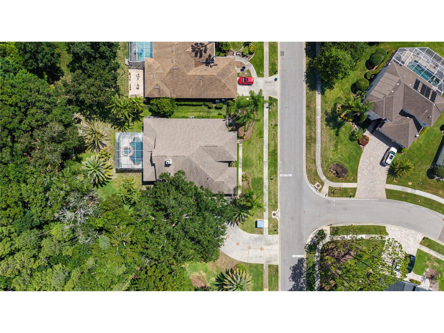 18615 Chemille Drive Lutz FL 33558 TB8519169 image3