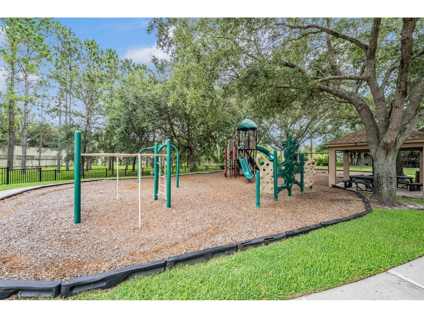 18615 Chemille Drive Lutz FL 33558 TB8519169 image39