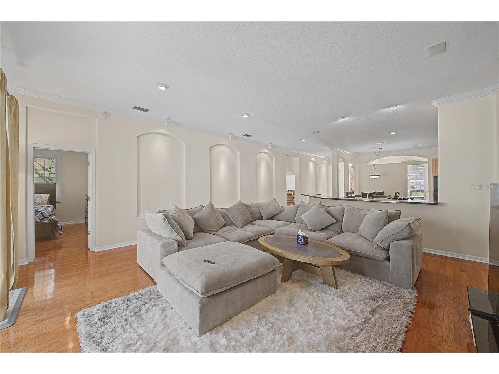18615 Chemille Drive Lutz FL 33558 TB8519169 image5