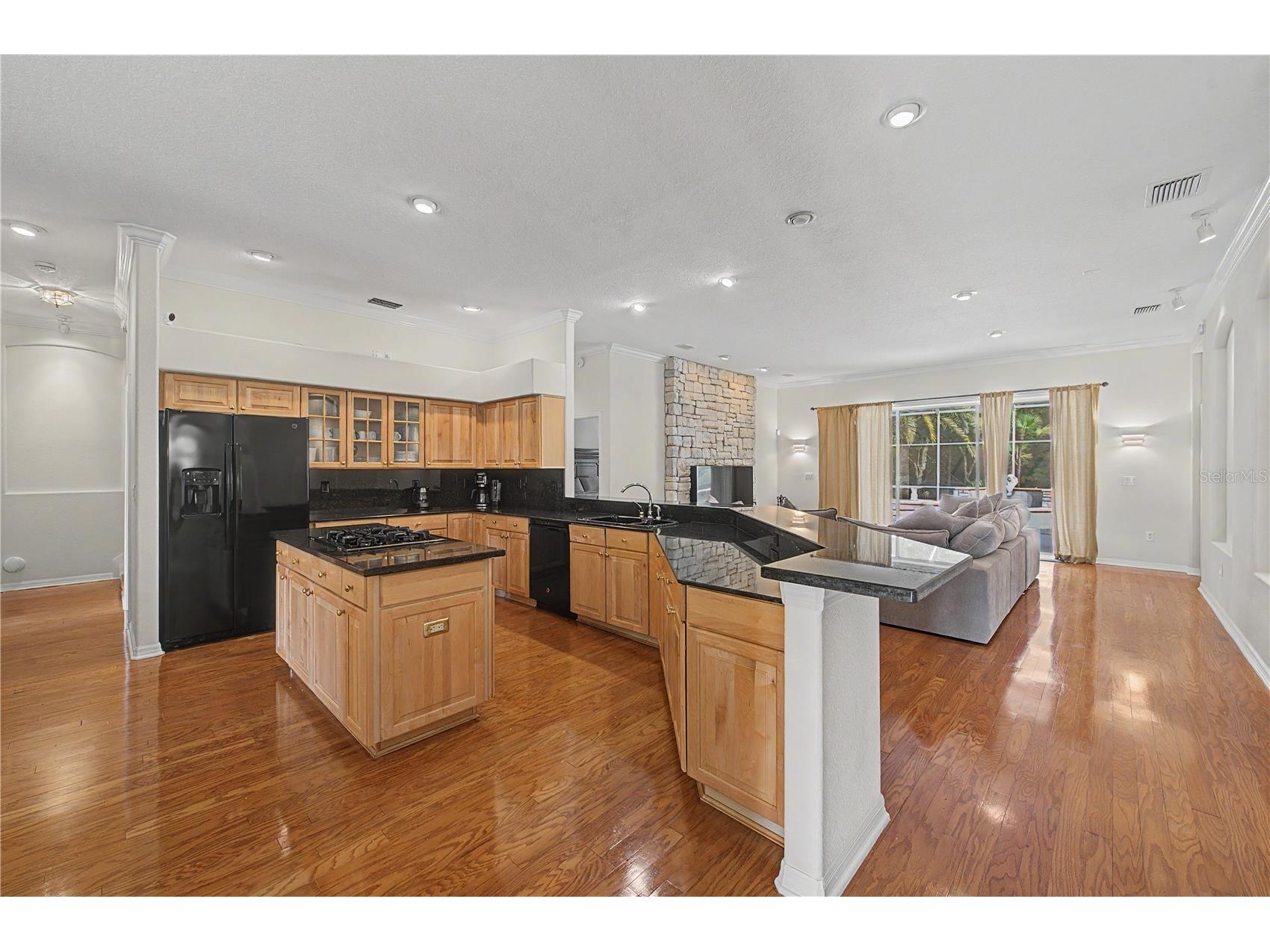 18615 Chemille Drive Lutz FL 33558 TB8519169 image6