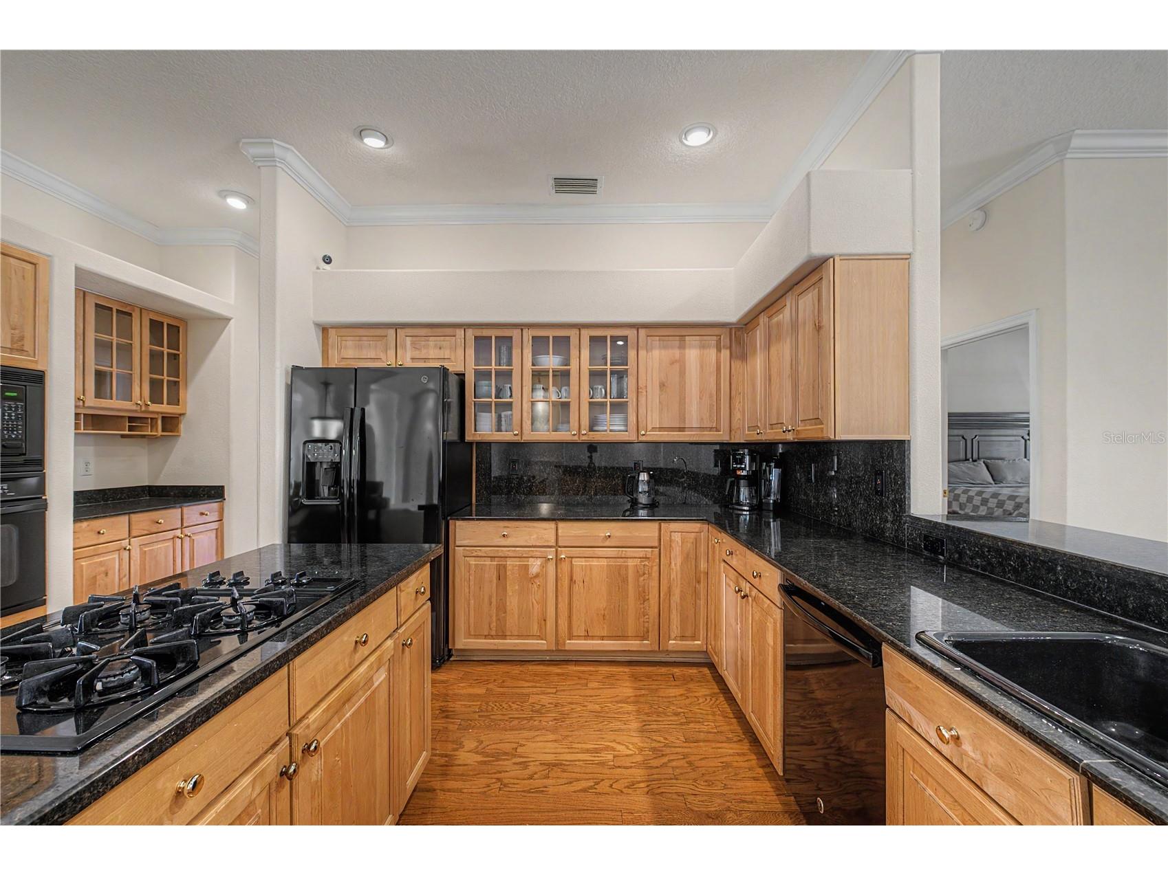 18615 Chemille Drive Lutz FL 33558 TB8519169 image7