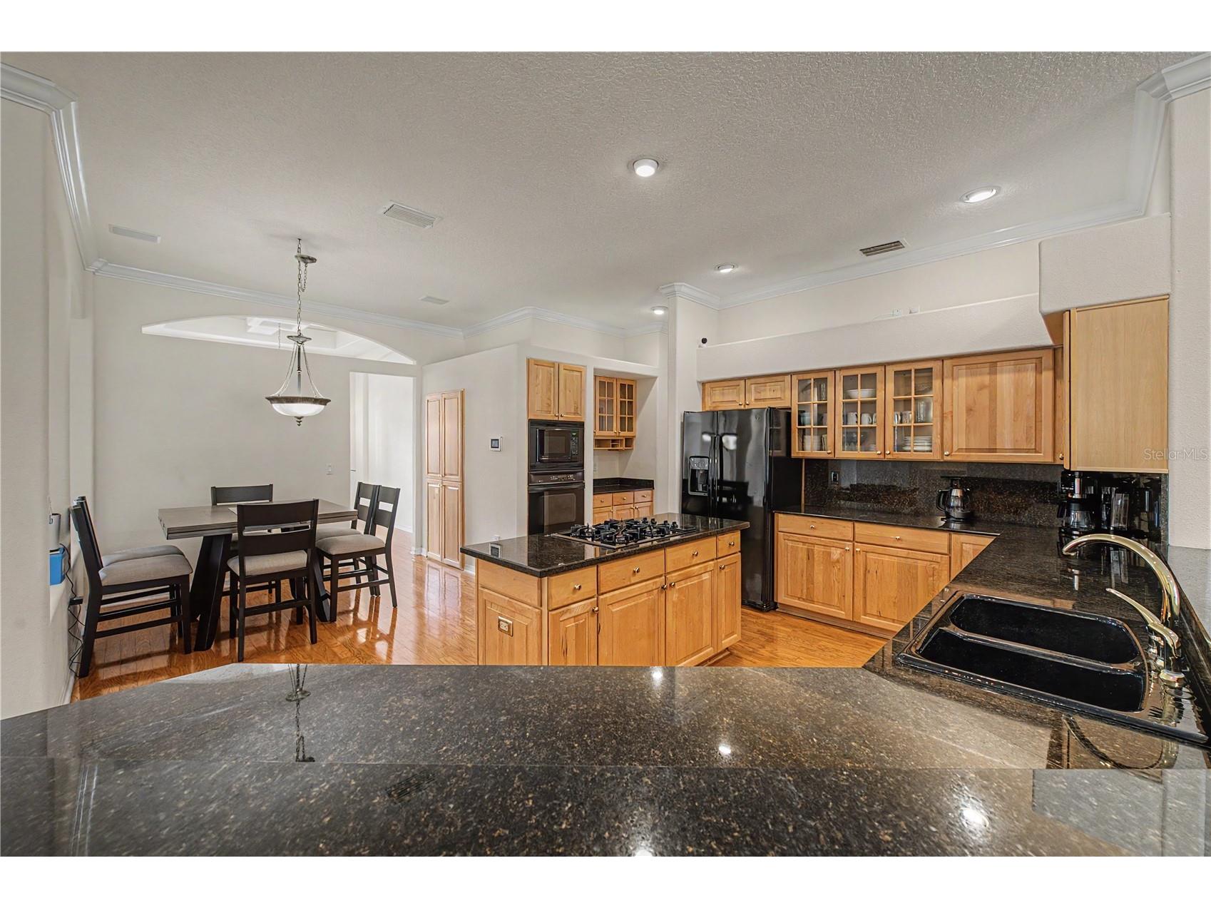 18615 Chemille Drive Lutz FL 33558 TB8519169 image8