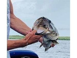 18619 NW 248th Street Okeechobee FL 34972 OK225511 image8