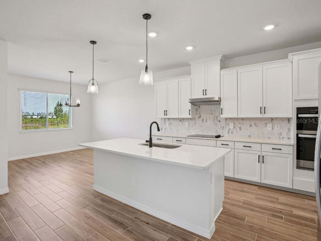 1862 Coolridge Place Zephyrhills FL 33541 O6358459 image6