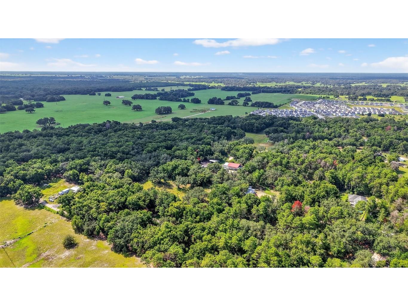 1862 S Us 301 Sumterville FL 33585 G5100542 image23