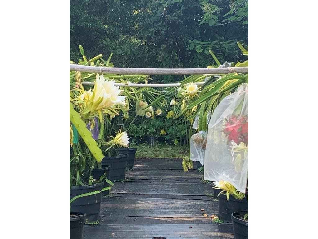 18620 Wayne Road Odessa FL 33556 - LAKE KEYSTONE O6313647 image21