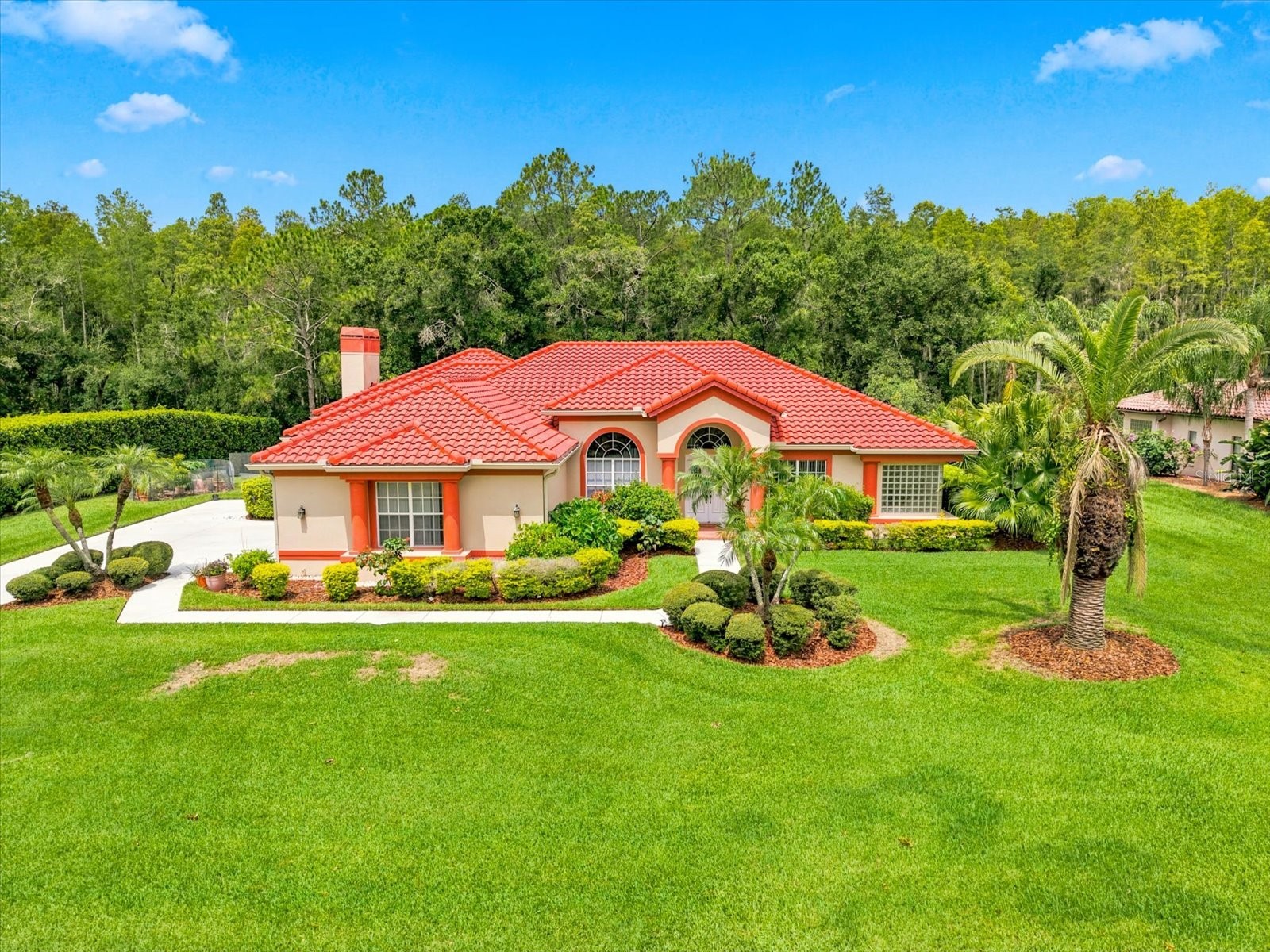 18621 Avenue Capri Lutz FL 33558 TB8532036 image1