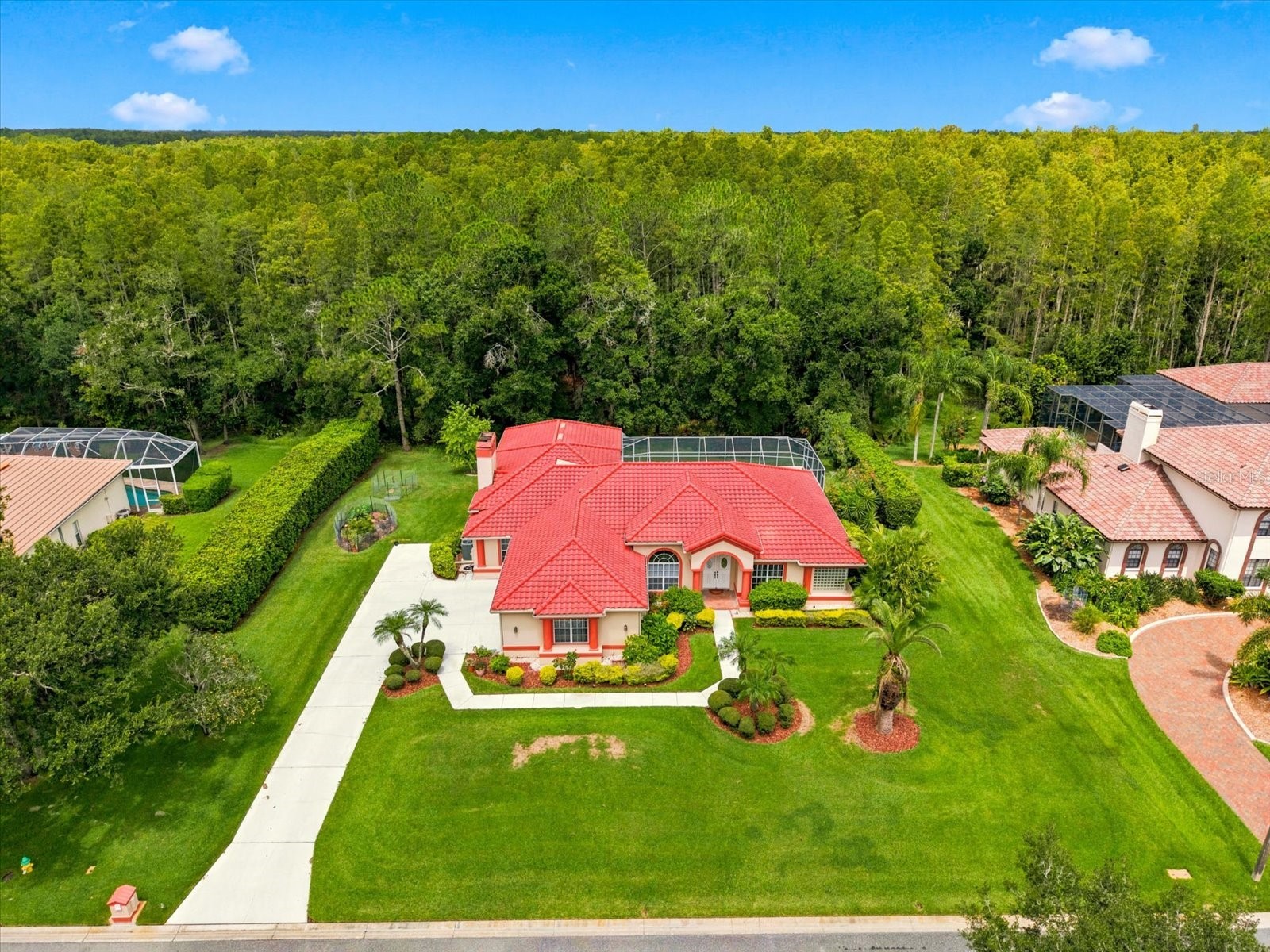18621 Avenue Capri Lutz FL 33558 TB8532036 image2