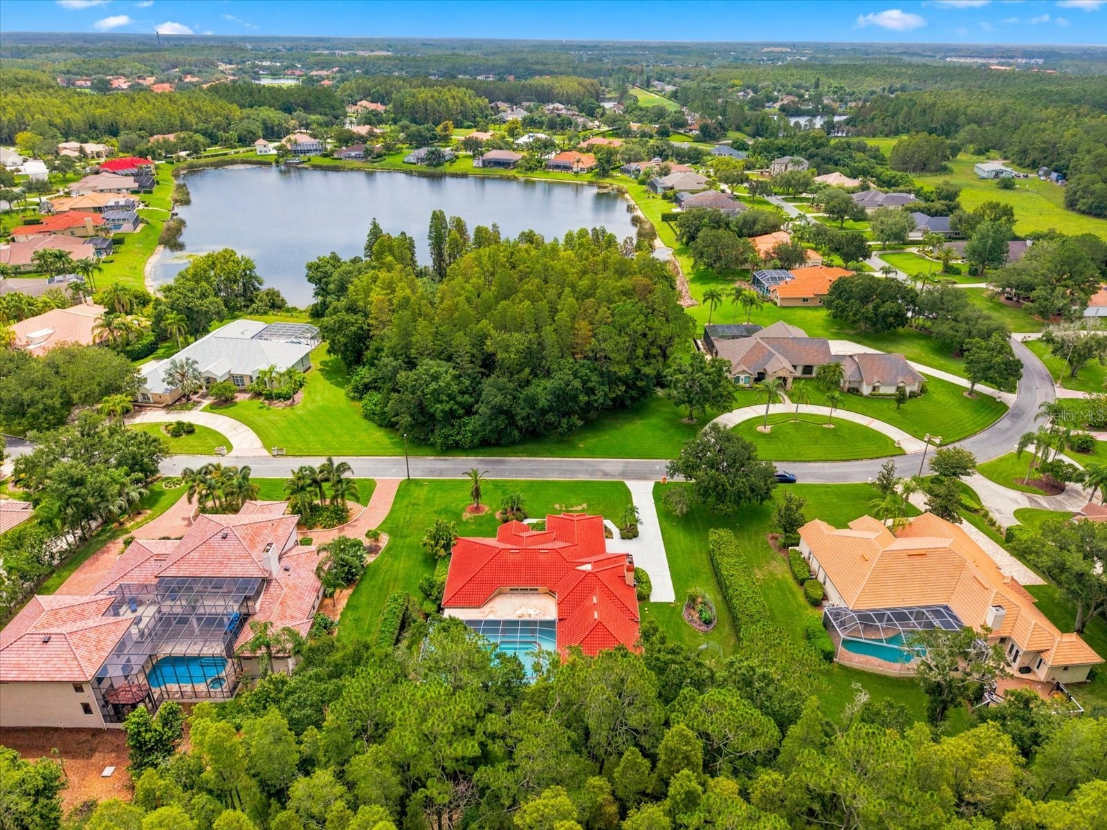 18621 Avenue Capri Lutz FL 33558 TB8532036 image3