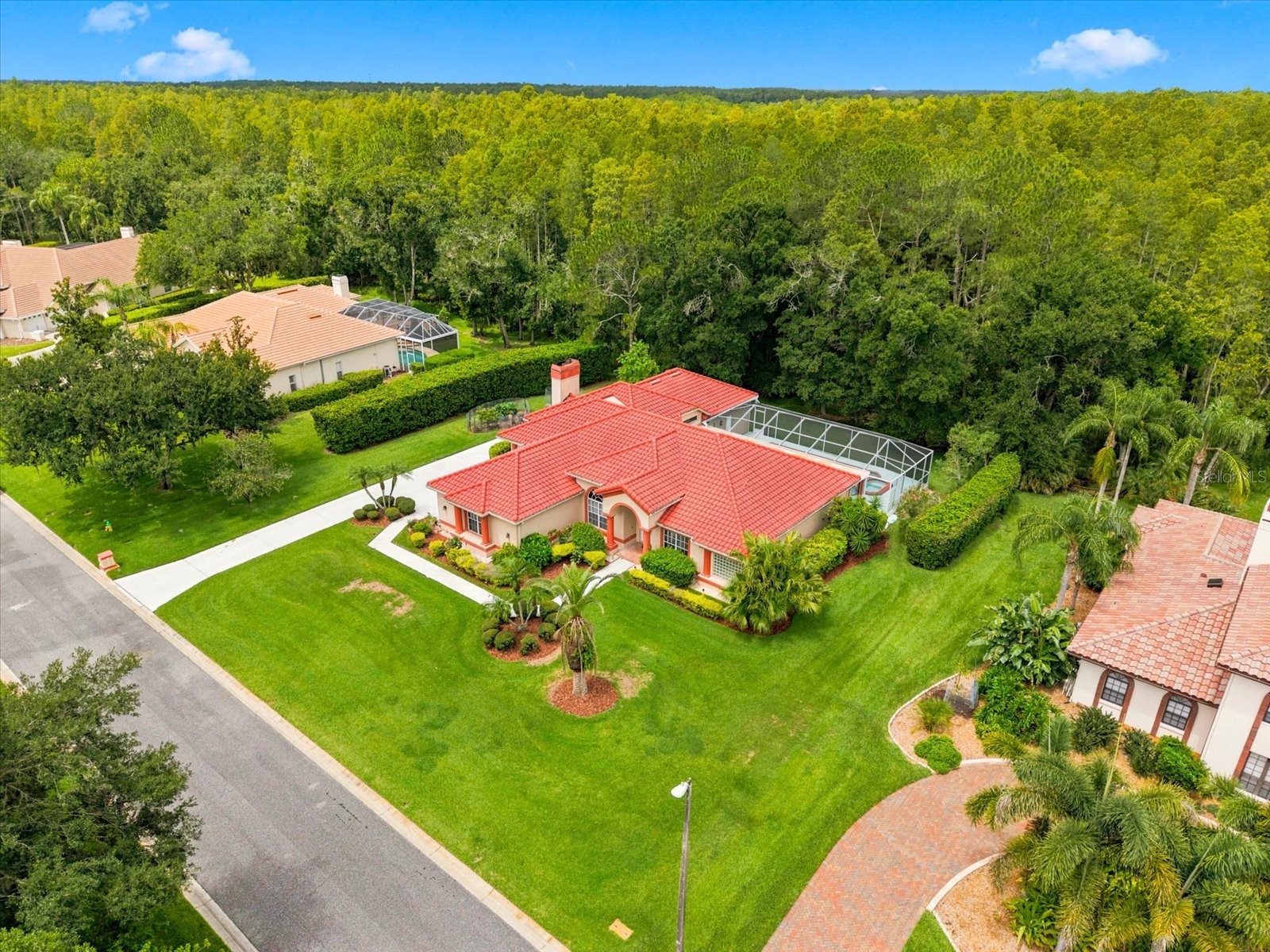 18621 Avenue Capri Lutz FL 33558 TB8532036 image5
