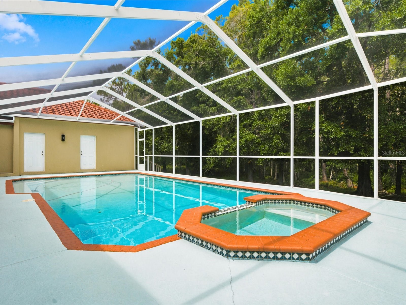 18621 Avenue Capri Lutz FL 33558 TB8532036 image59