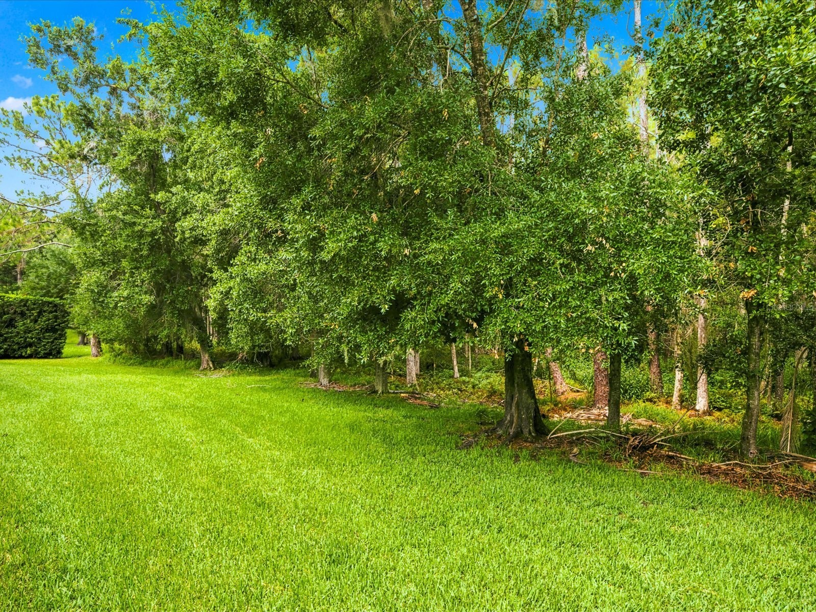 18621 Avenue Capri Lutz FL 33558 TB8532036 image66