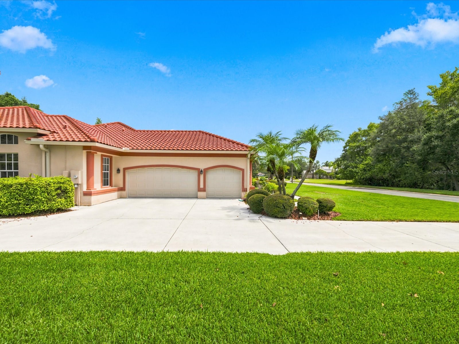 18621 Avenue Capri Lutz FL 33558 TB8532036 image68