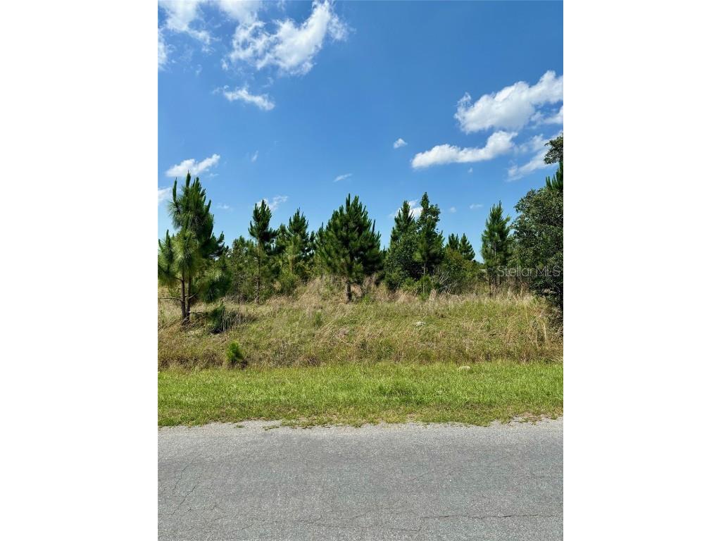 18621 Tunbridge Street Orlando FL 32833 O6208532 image1