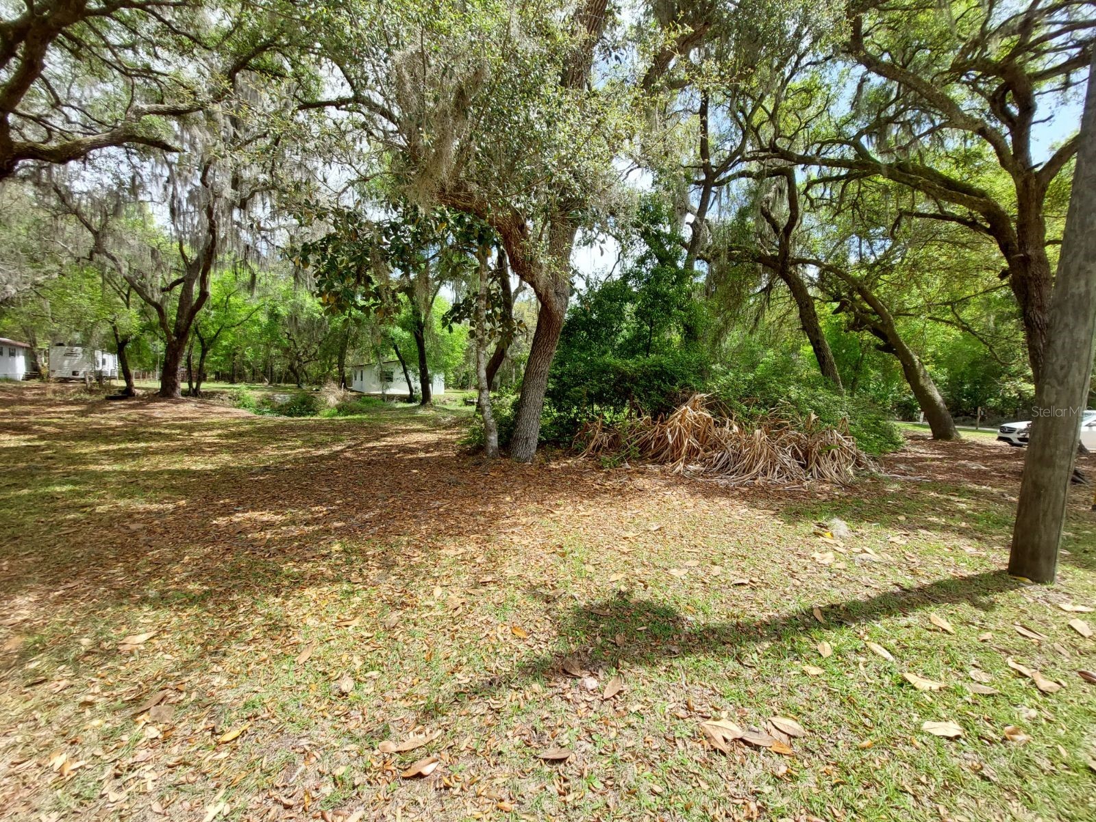 18625 NE 238th Terrace Fort Mc Coy FL 32134 - LAKE DELANCY V4948407 image1