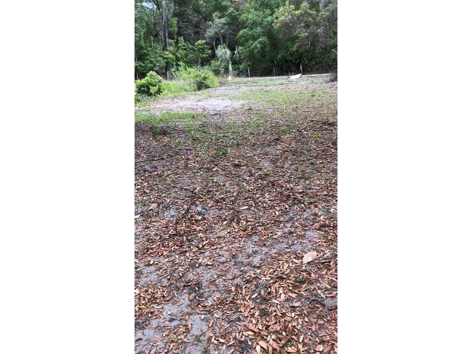 18625 NE 238th Terrace Fort Mc Coy FL 32134 - LAKE DELANCY V4948407 image11