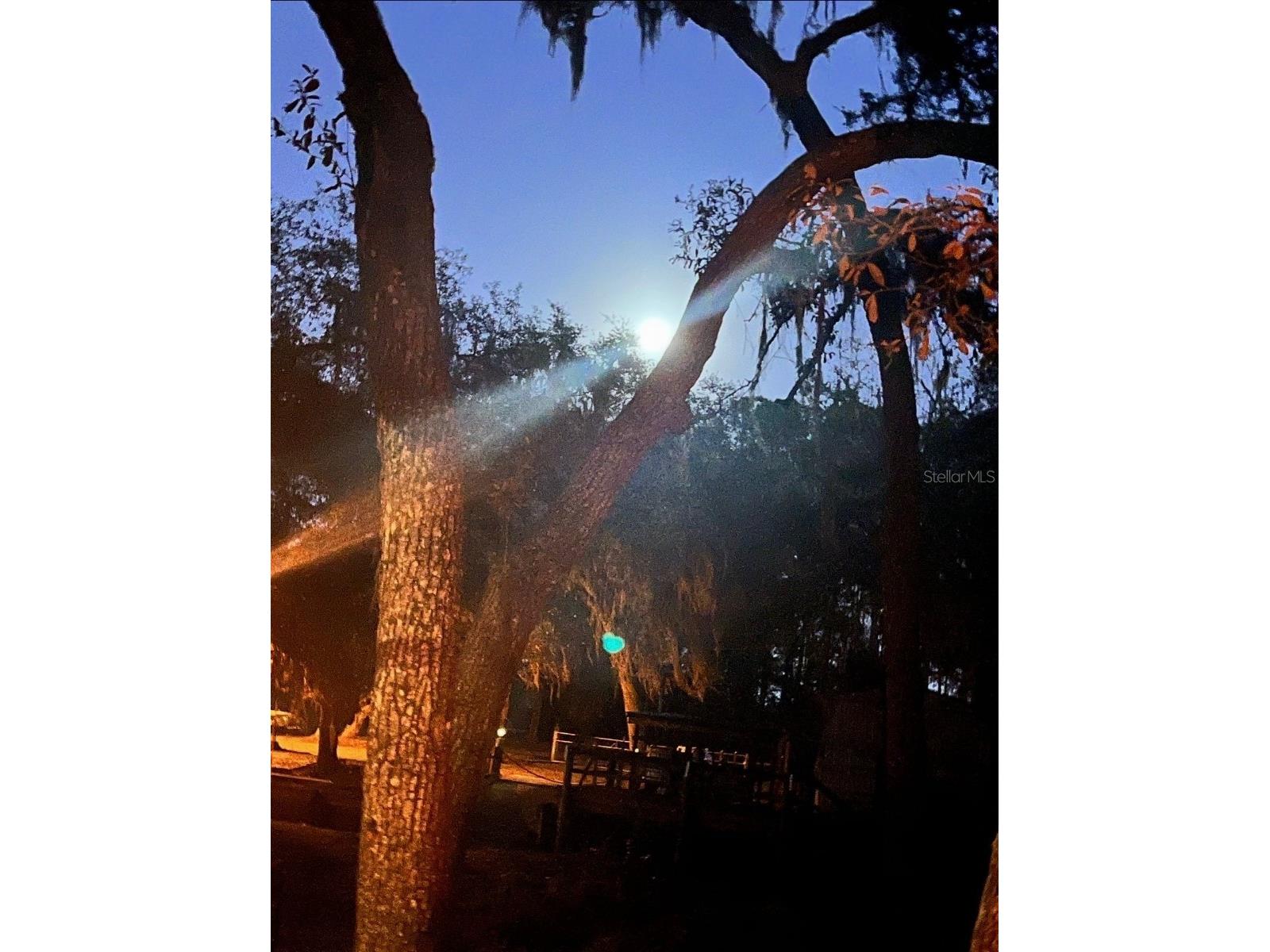 18625 NE 238th Terrace Fort Mc Coy FL 32134 - LAKE DELANCY V4948407 image17