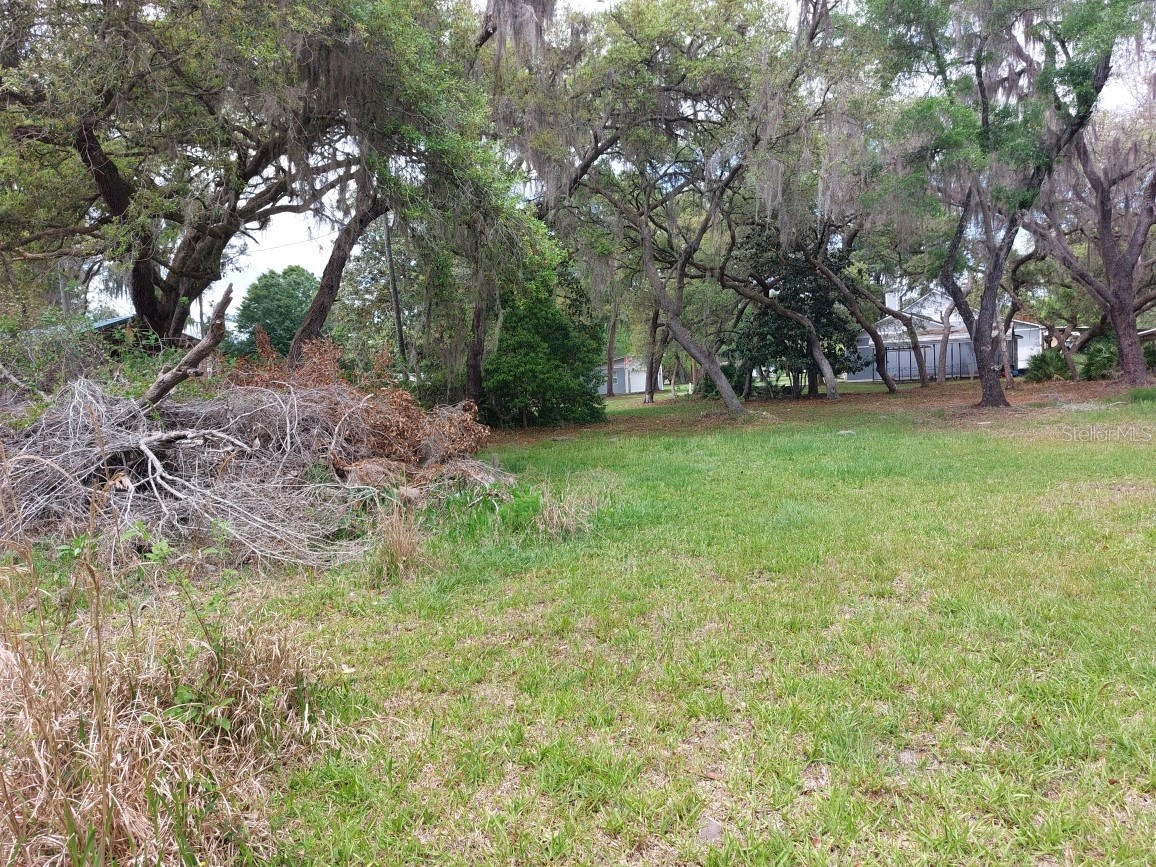18625 NE 238th Terrace Fort Mc Coy FL 32134 - LAKE DELANCY V4948407 image18