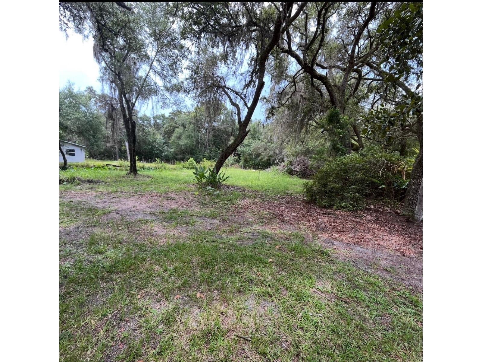 18625 NE 238th Terrace Fort Mc Coy FL 32134 - LAKE DELANCY V4948407 image2