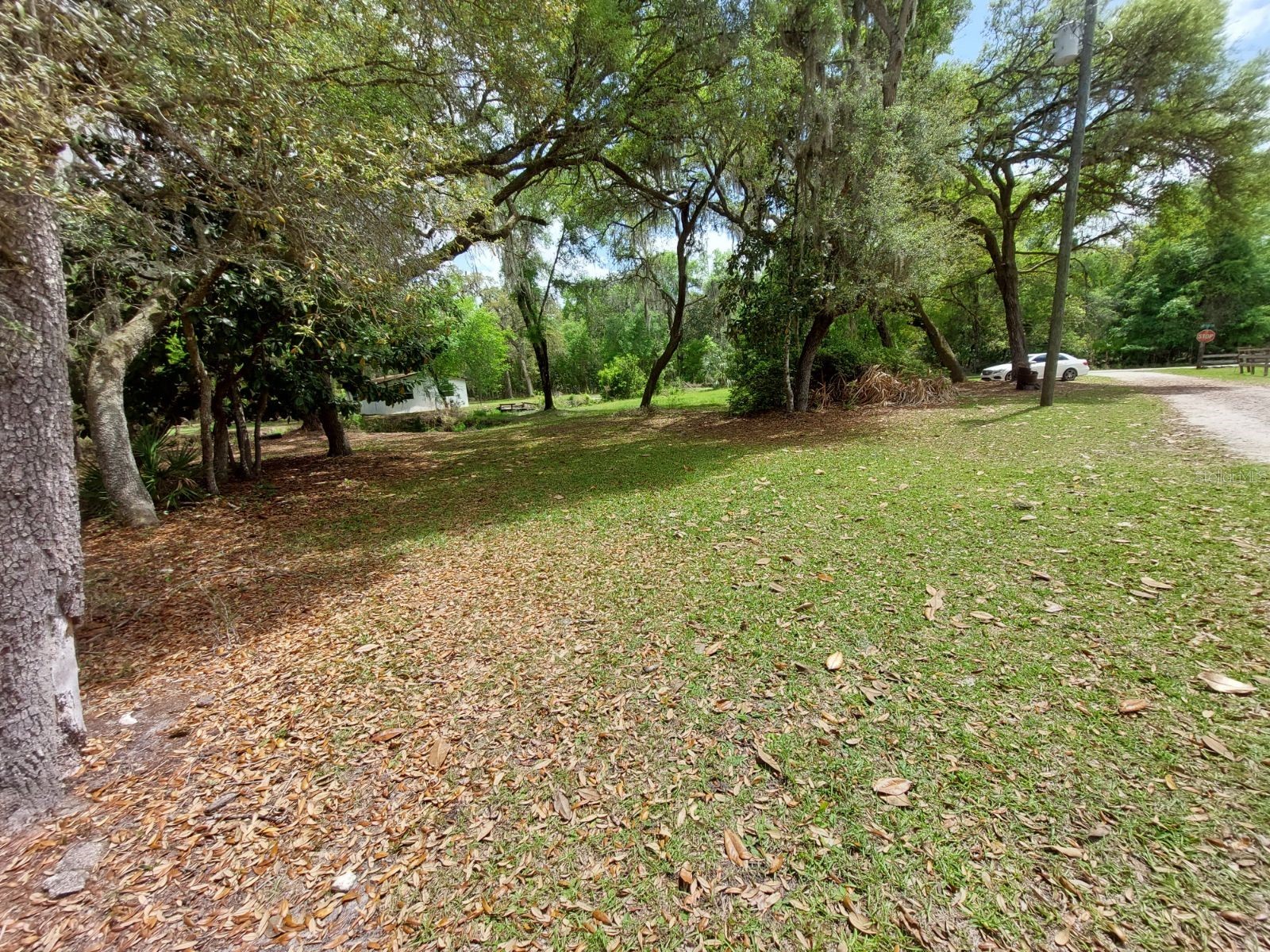 18625 NE 238th Terrace Fort Mc Coy FL 32134 - LAKE DELANCY V4948407 image3
