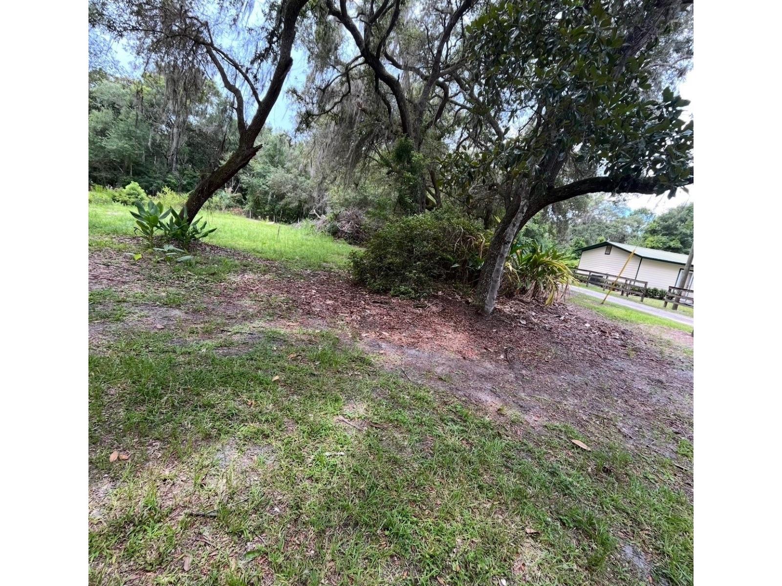 18625 NE 238th Terrace Fort Mc Coy FL 32134 - LAKE DELANCY V4948407 image6