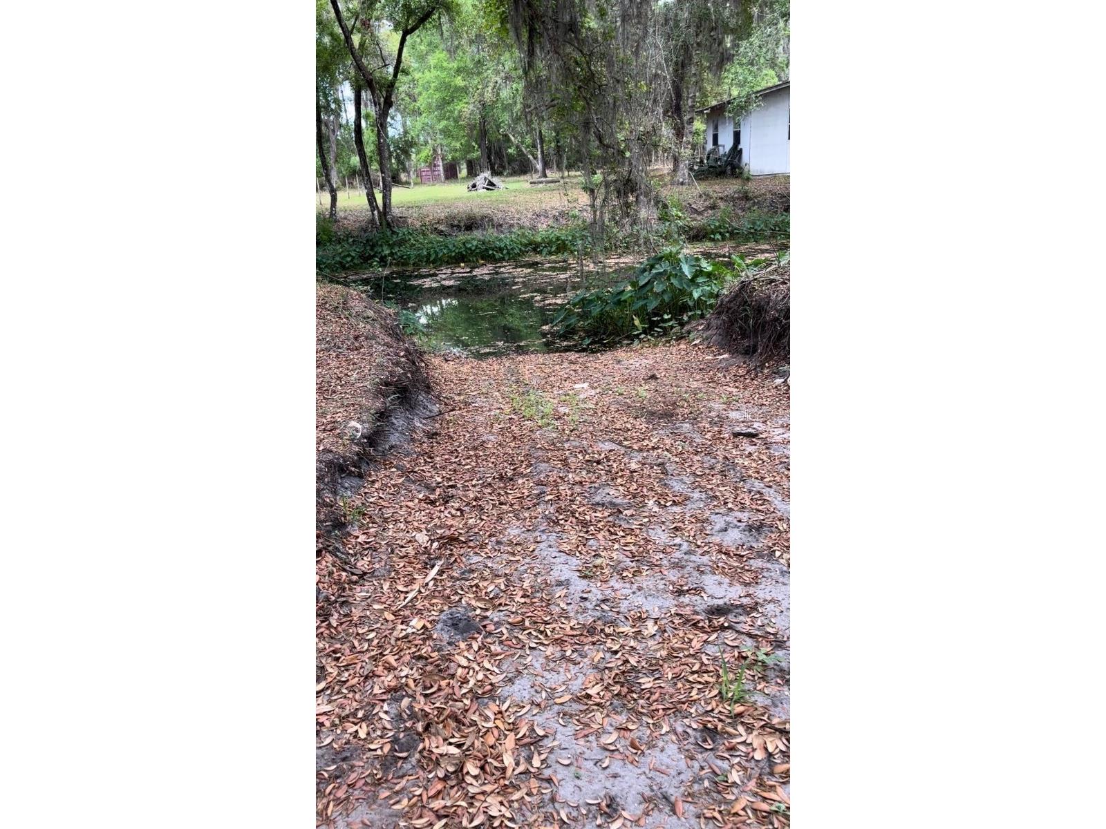 18625 NE 238th Terrace Fort Mc Coy FL 32134 - LAKE DELANCY V4948407 image8