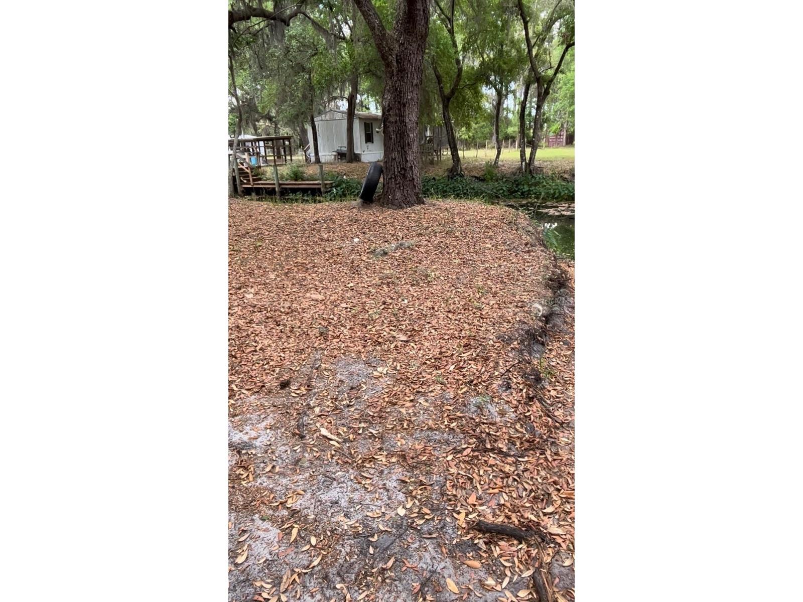18625 NE 238th Terrace Fort Mc Coy FL 32134 - LAKE DELANCY V4948407 image9