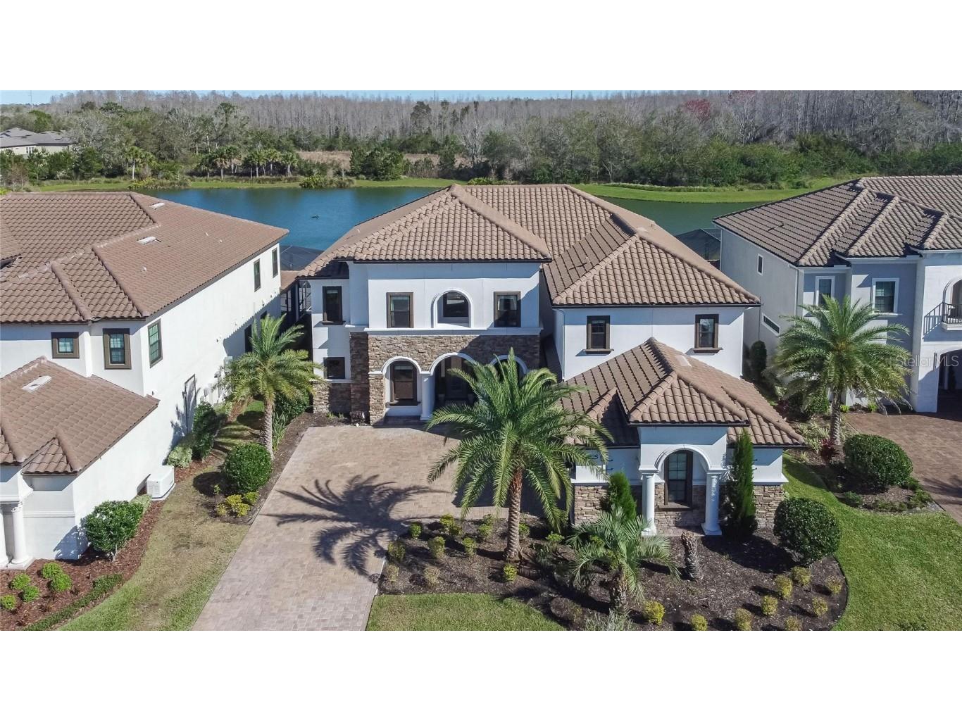 18625 Rue Beauvais Lutz FL 33558 T3424720 image1