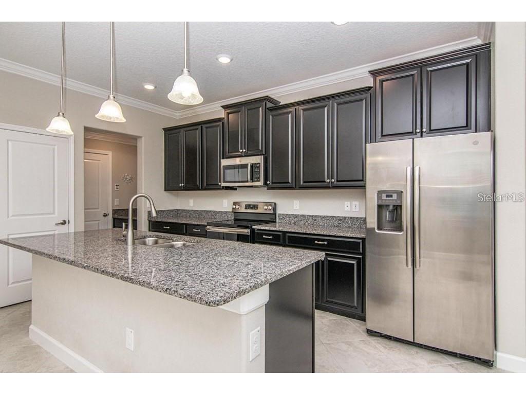 18628 Noble Caspian Drive Lutz FL 33558 TB8516305 image10