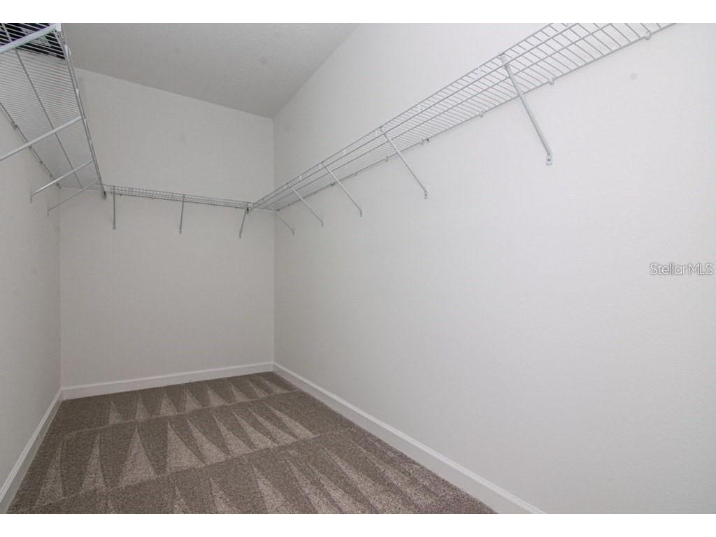 18628 Noble Caspian Drive Lutz FL 33558 TB8516305 image17