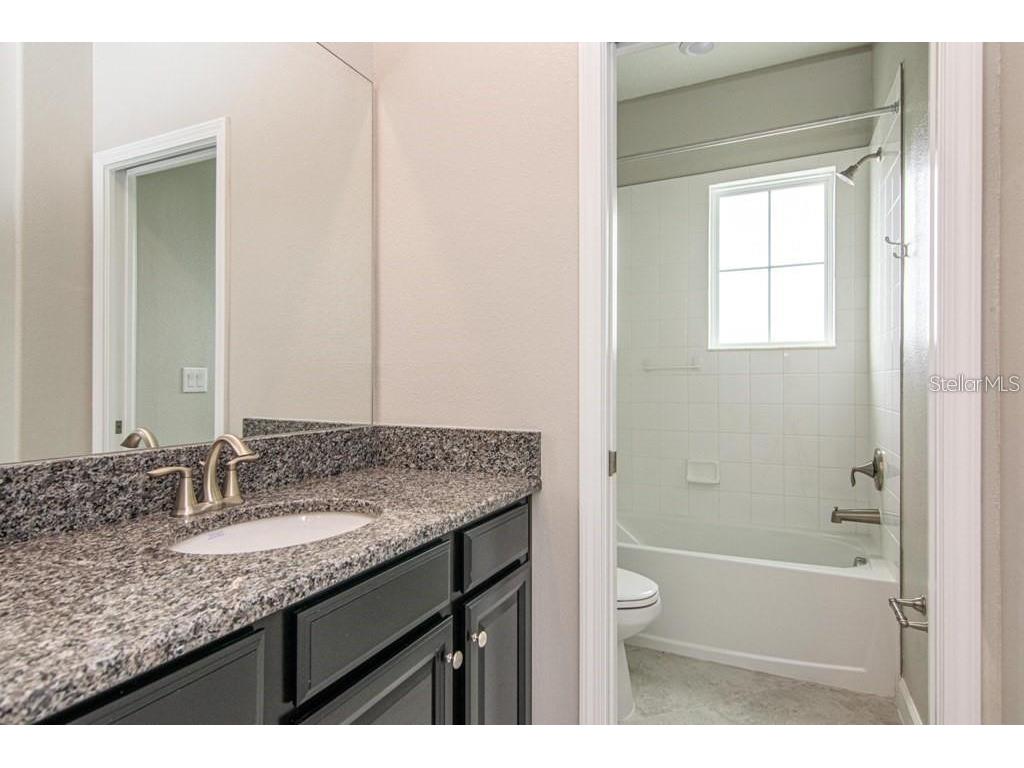 18628 Noble Caspian Drive Lutz FL 33558 TB8516305 image20
