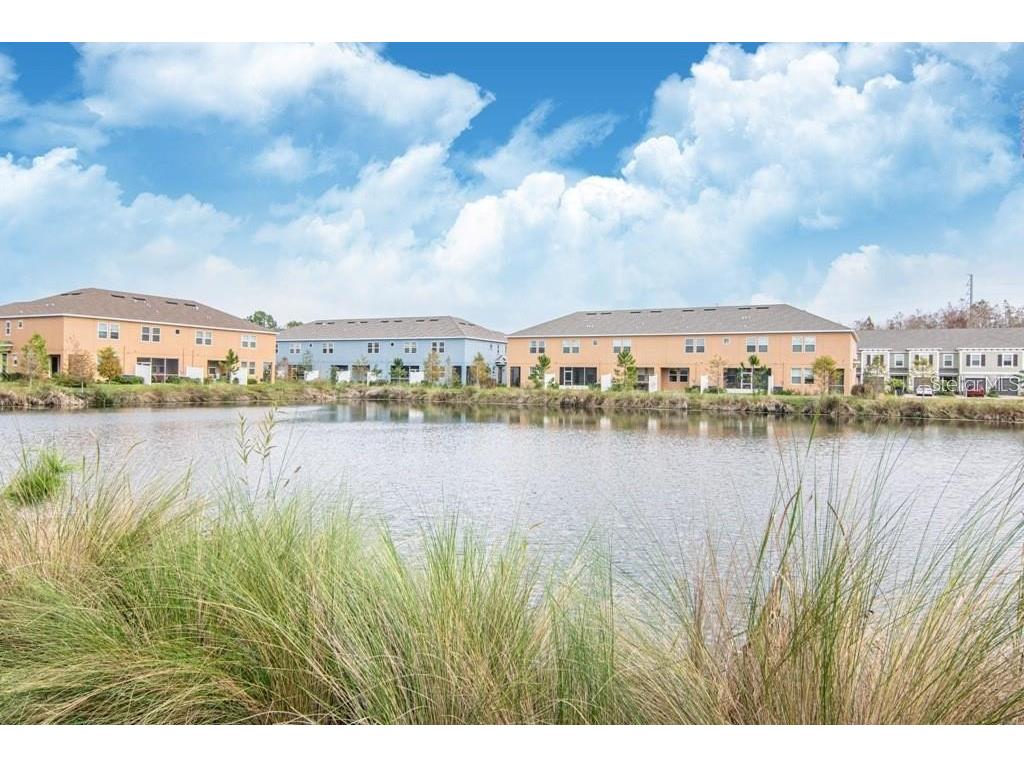 18628 Noble Caspian Drive Lutz FL 33558 TB8516305 image28