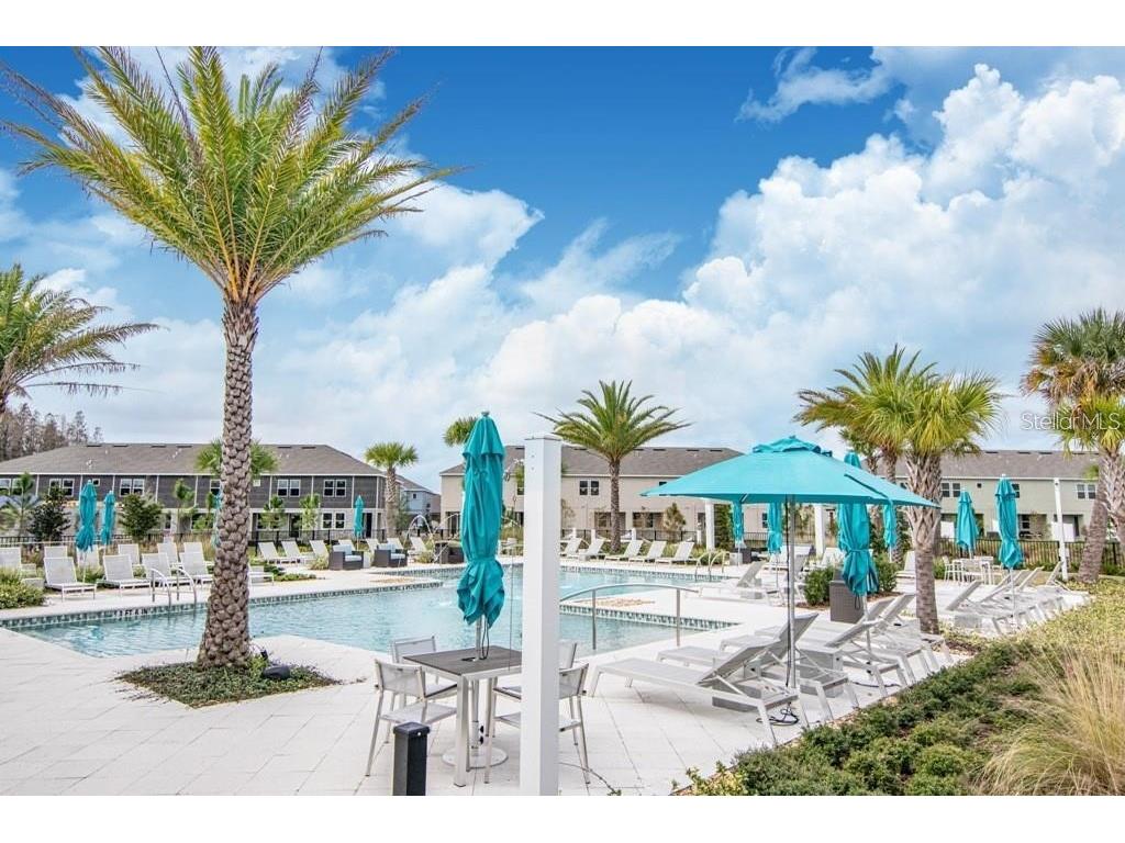 18628 Noble Caspian Drive Lutz FL 33558 TB8516305 image32