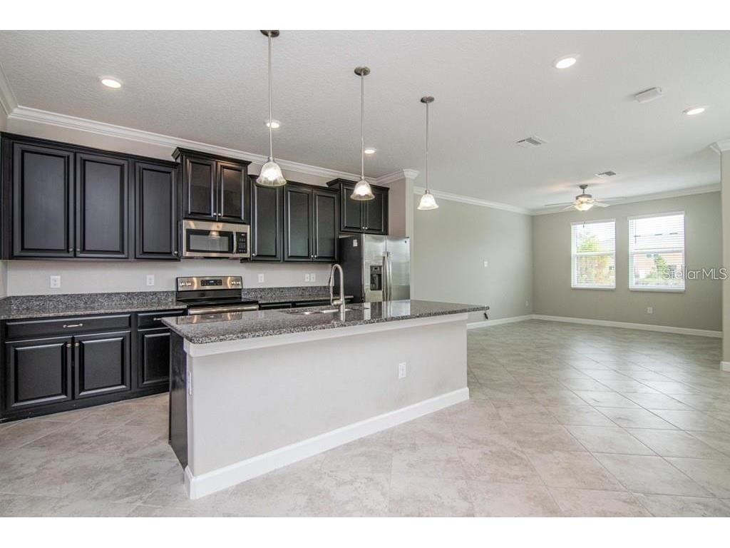 18628 Noble Caspian Drive Lutz FL 33558 TB8516305 image6