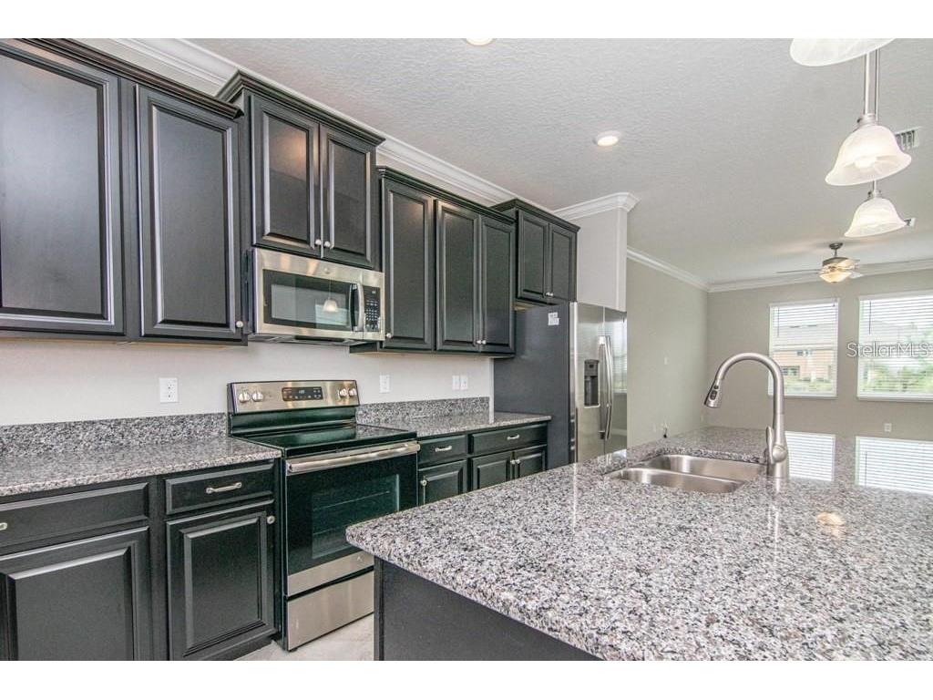 18628 Noble Caspian Drive Lutz FL 33558 TB8516305 image7