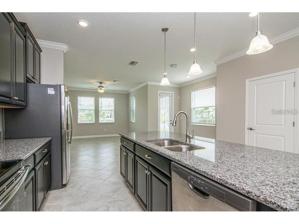 18628 Noble Caspian Drive Lutz FL 33558 TB8516305 image8