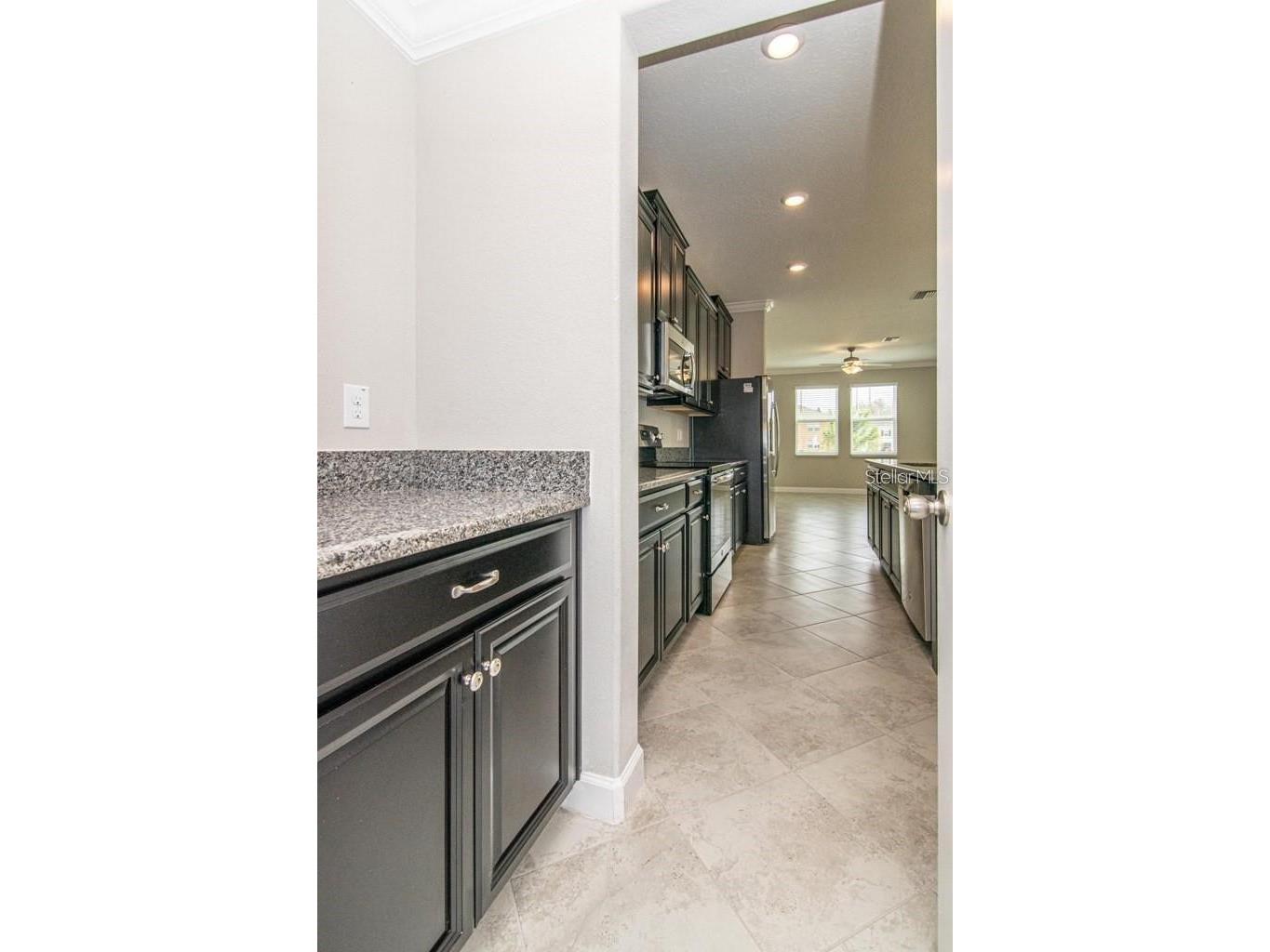 18628 Noble Caspian Drive Lutz FL 33558 TB8516305 image9