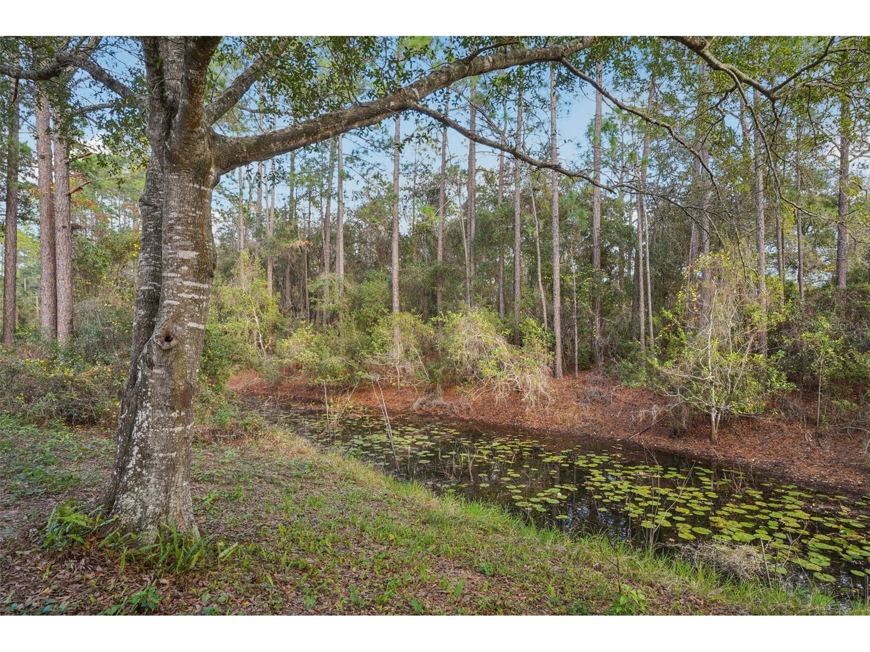 18628 SE 53rd Place Ocklawaha FL 32179 OM715457 image48