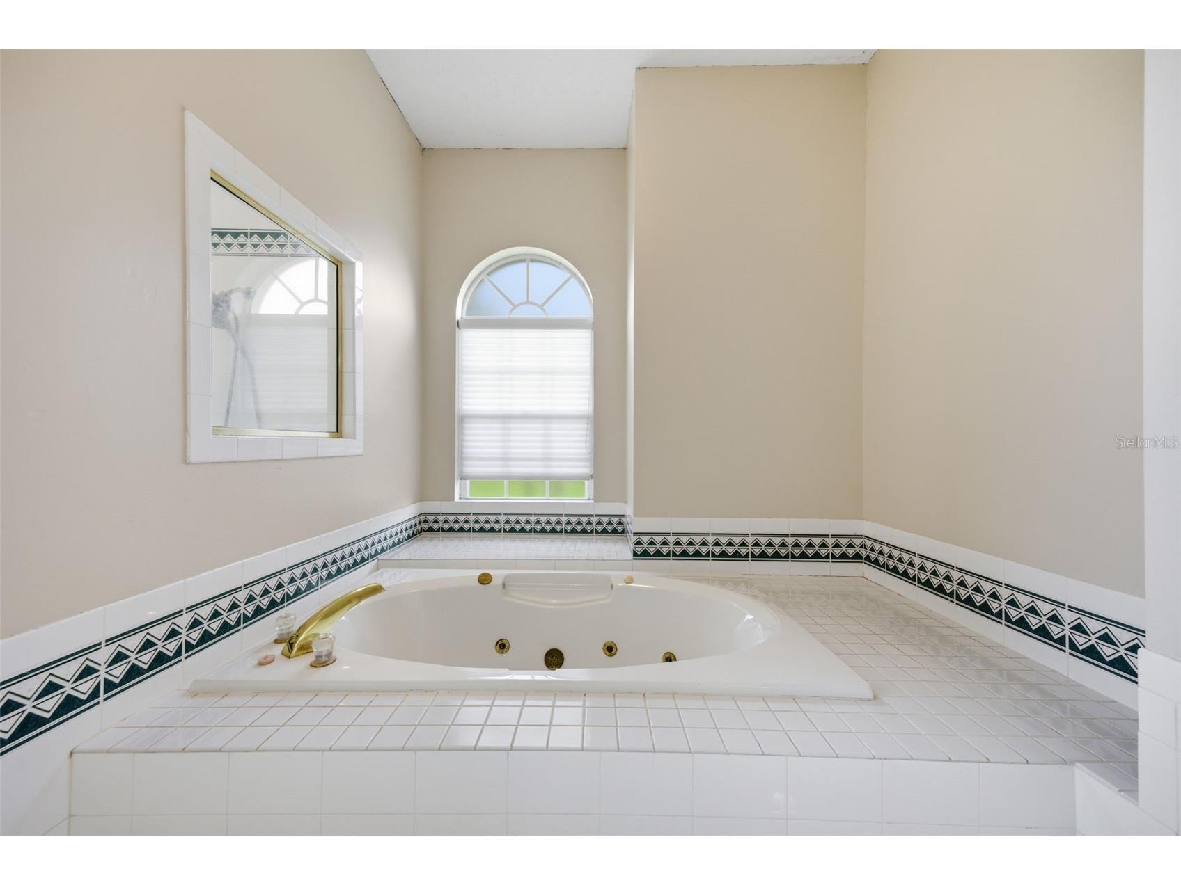 18629 Avenue Capri Lutz FL 33558 TB8496791 image27