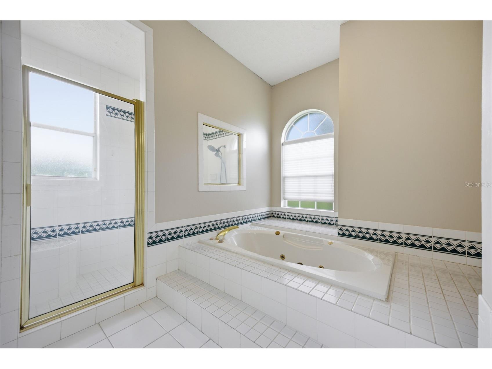 18629 Avenue Capri Lutz FL 33558 TB8496791 image28