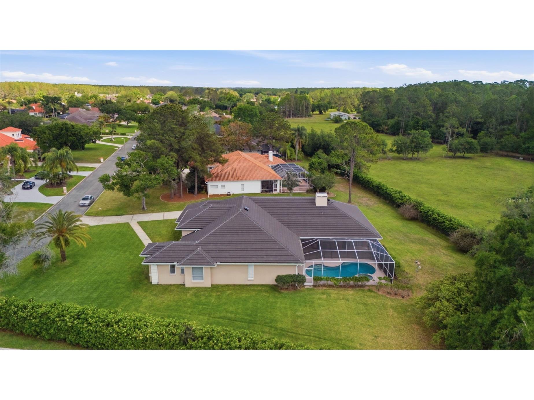 18629 Avenue Capri Lutz FL 33558 TB8496791 image41