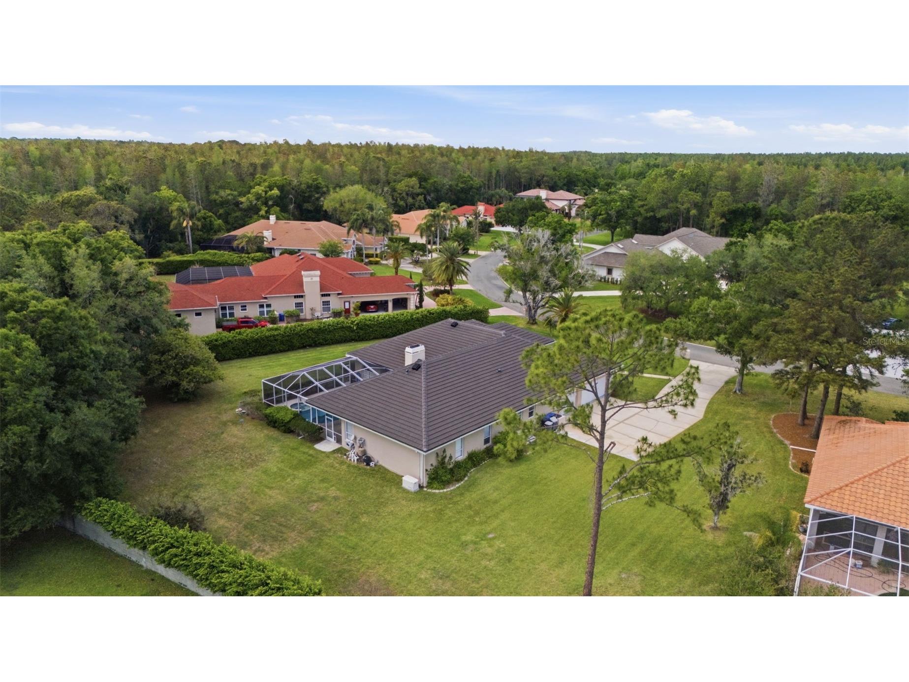 18629 Avenue Capri Lutz FL 33558 TB8496791 image44