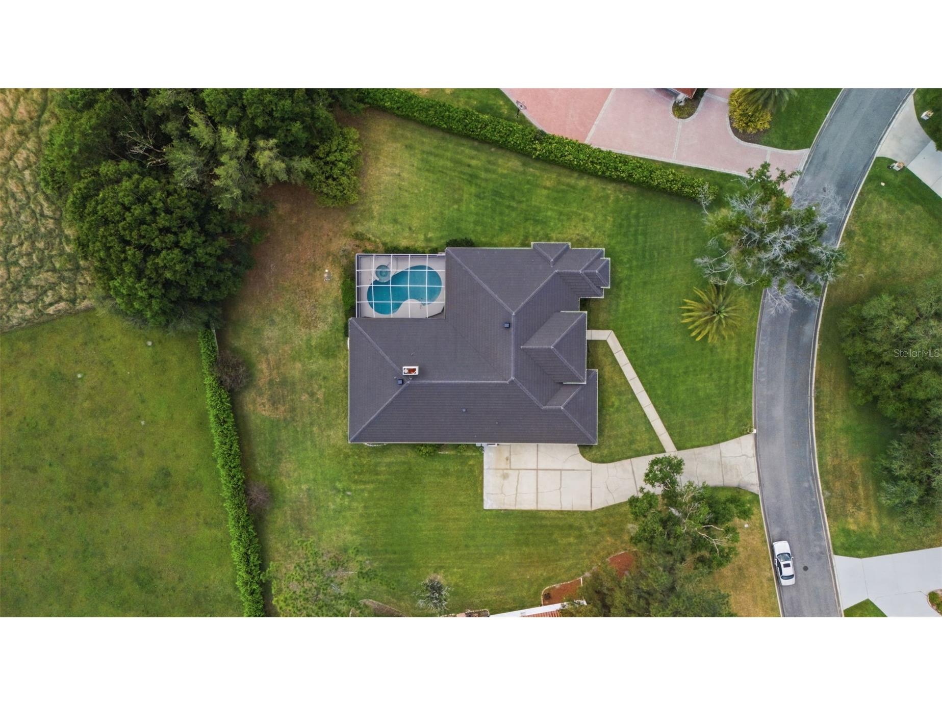 18629 Avenue Capri Lutz FL 33558 TB8496791 image47