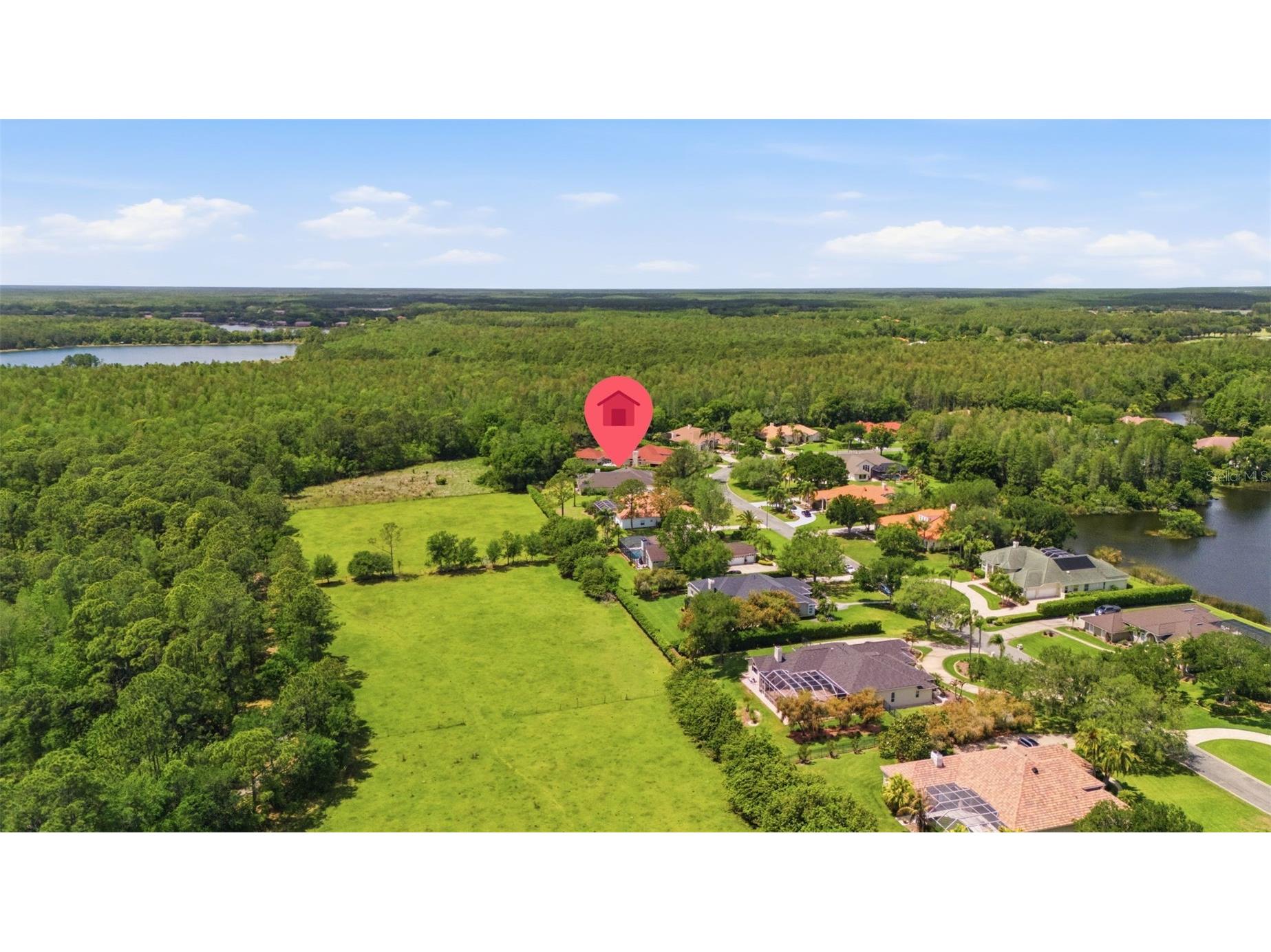 18629 Avenue Capri Lutz FL 33558 TB8496791 image49