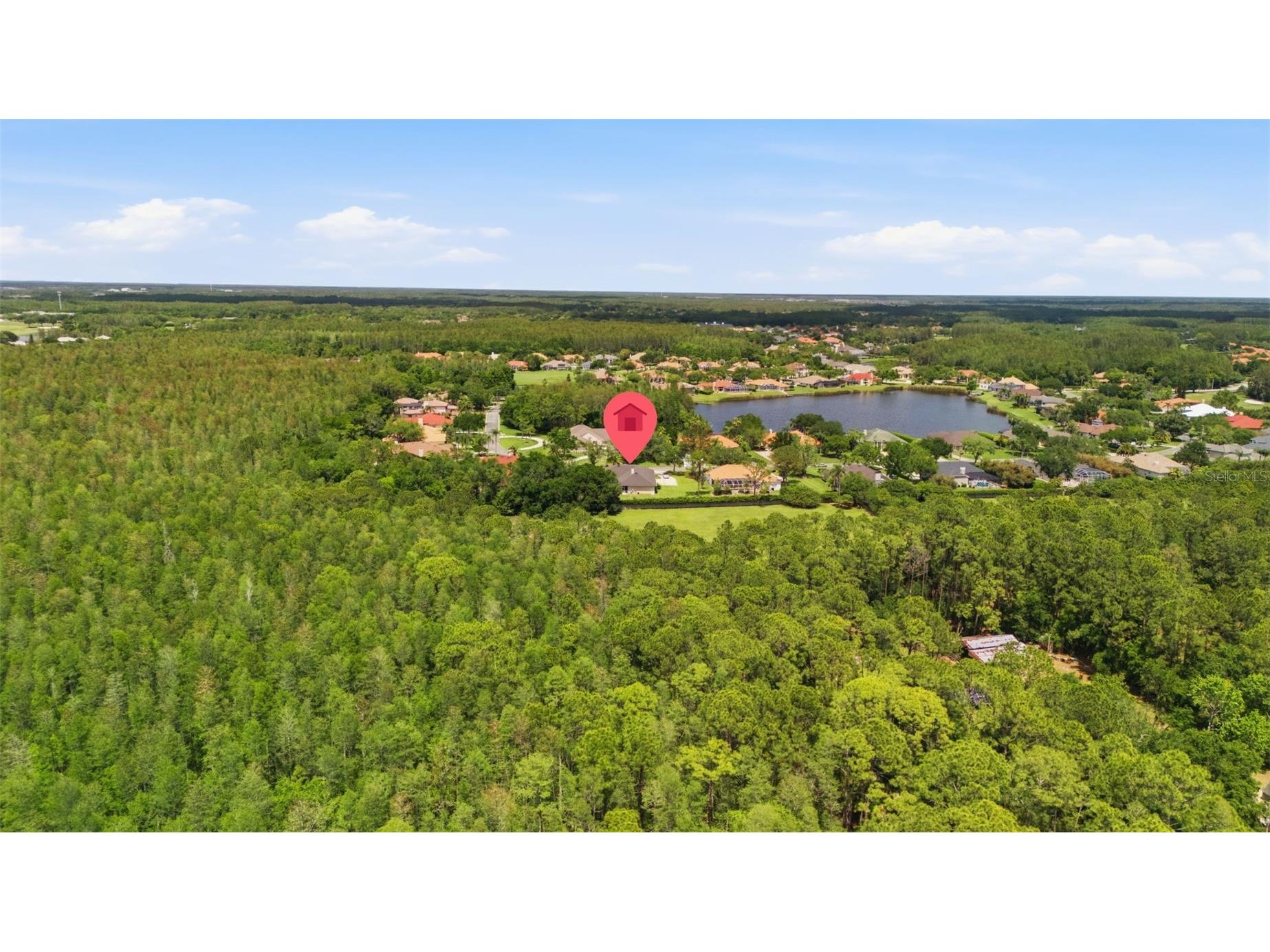 18629 Avenue Capri Lutz FL 33558 TB8496791 image50