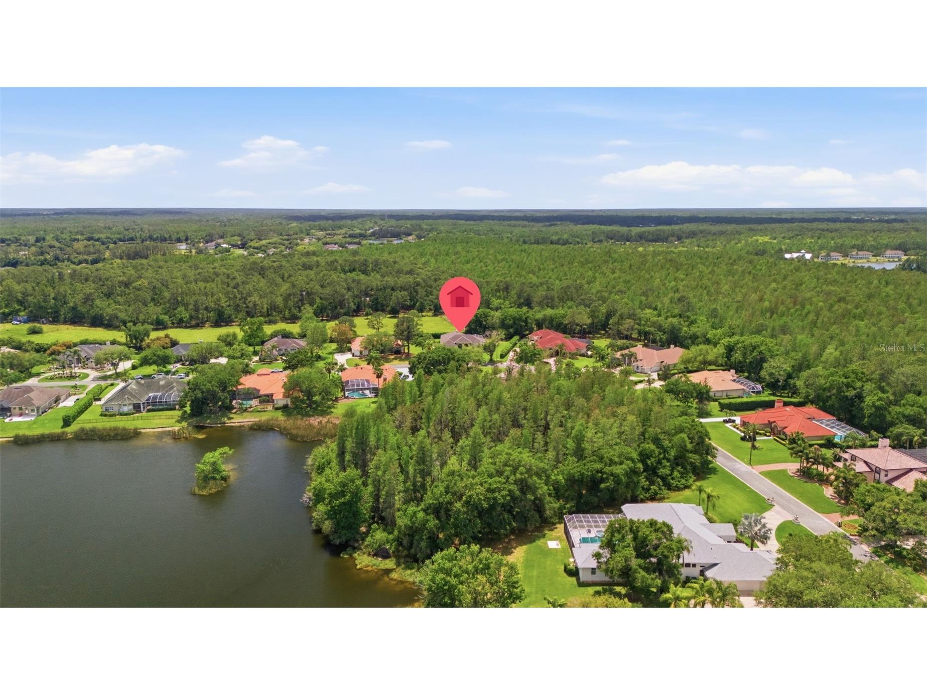 18629 Avenue Capri Lutz FL 33558 TB8496791 image51