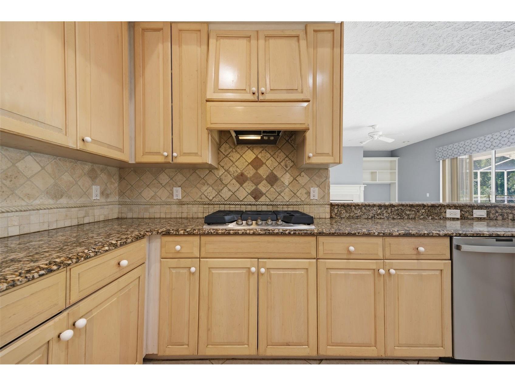 18629 Avenue Capri Lutz FL 33558 TB8496791 image8
