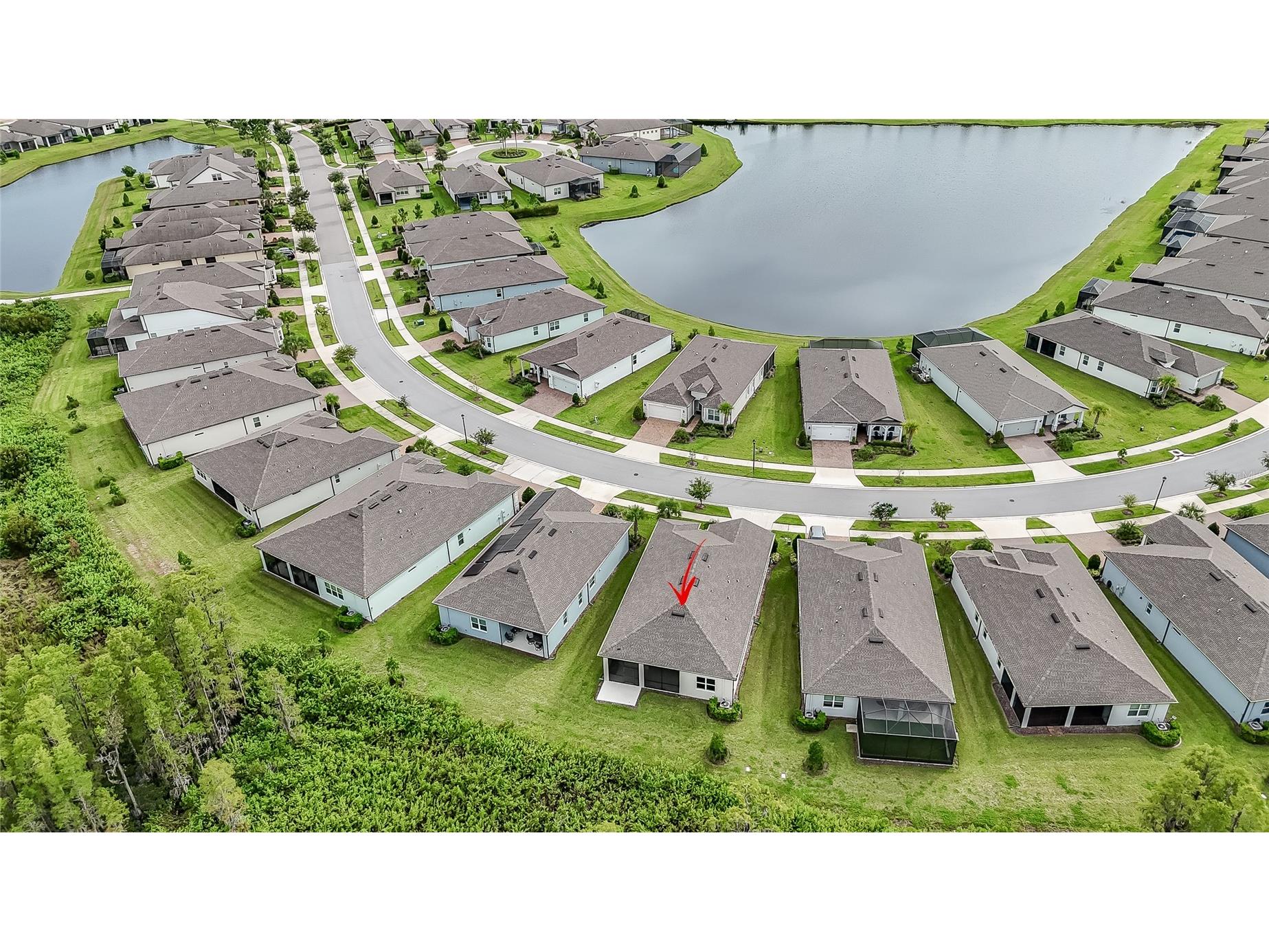 18629 Coastal Shore Terrace Land O Lakes FL 34638 TB8425979 image19